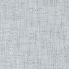 Duralee Seaglass 36232-619 Decor Fabric
