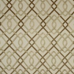 Beacon Hill Wrought Work Ivory 218850 Silk Jacquards and Embroideries Collection Multipurpose Fabric