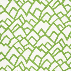 F Schumacher Zimba Lawn 2644335 Exuberant Prints Collection Indoor Upholstery Fabric