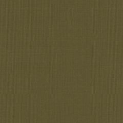 F Schumacher Sargent Silk Taffeta Olive 22656 Indoor Upholstery Fabric