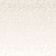 Clarke and Clarke Pulse Pearl F0469-11 Tempo Collection Upholstery Fabric