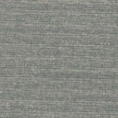 Perennials Old Hand Platinum 974-207 The Usual Suspects Collection Upholstery Fabric