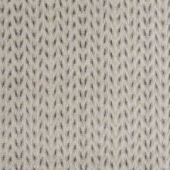 Baker Lifestyle Carnival Chevron Silver PF50426-3 Carnival Collection Indoor Upholstery Fabric