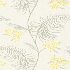 Cole and Son Mimosa White 69-8132 New Contemporary II Collection Wall Covering
