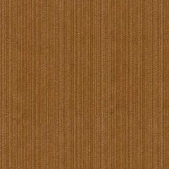 Kravet Contract Strie Velvet 33353-616 Guaranteed in Stock Indoor Upholstery Fabric