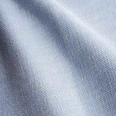 Perennials Rough 'n Rowdy Ice Blue 955-798 Cest la Vie! Collection Upholstery Fabric