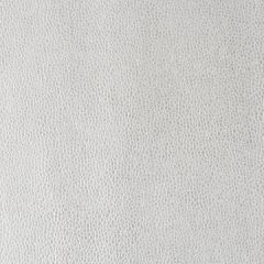Kravet Design Kerinci Ice Baby 11 Performance Sta-Kleen Collection Indoor Upholstery Fabric