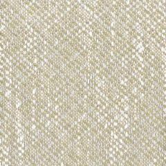 Stout Foundation Mushroom 4 No Boundaries Performance Collection Upholstery Fabric
