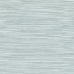 F-Schumacher Haruki Sisal-Water Blue 5004713 Luxury Decor Wallpaper
