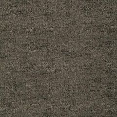 Robert Allen Naruto Caviar 243349 Drapeable Tonal Textures Collection Multipurpose Fabric