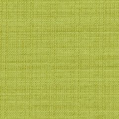 Robert Allen Contract Modern Canvas-Chartreuse 214801 Decor Upholstery Fabric
