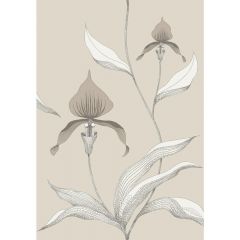 Cole and Son Orchid Linen / White 9510058 Contemporary Restyled Collection Wall Covering