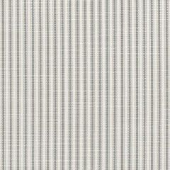 Perennials Tick Tock Stripe Nickel 807-296 The Usual Suspects Collection Upholstery Fabric