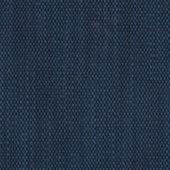 Perennials Rough 'n Rowdy Blue Jean 955-501 Beyond the Bend Collection Upholstery Fabric