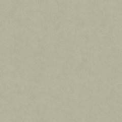 Lee Jofa Ultimate Ash Grey 960122-2101 Ultimate Suede Collection Indoor Upholstery Fabric