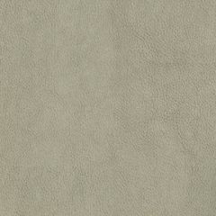 ABBEYSHEA Claro 902 Alabaster Indoor Upholstery Fabric