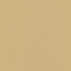 Kravet Contract Bess Beige 16 Faux Leather Indoor Upholstery Fabric