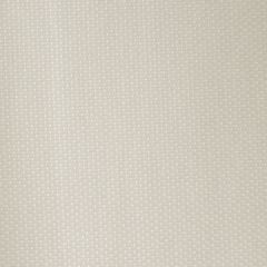 Kravet Contract Pretender Champagne 111 Sta-Kleen Collection Indoor Upholstery Fabric