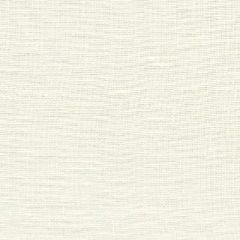Baker Lifestyle Barra White PF50226-100 Drapery Fabric