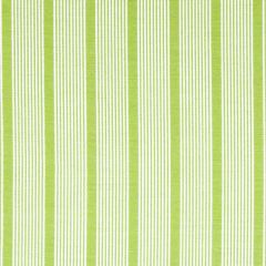 Robert Allen Sunbrella Aloha Stripe Spring Grass 242285 Open Air Collection Upholstery Fabric