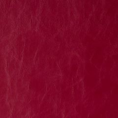 Kravet Contract Daytripper Ruby 9 Sta-Kleen Collection Indoor Upholstery Fabric