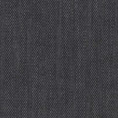 Perennials Rough 'n Rowdy Anthracite 955-204 Beyond the Bend Collection Upholstery Fabric