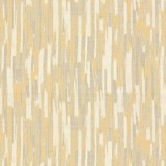 Kravet Contract Yellow 4147-4 Wide Illusions Collection Drapery Fabric