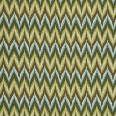 Robert Allen Spring Ahead Aloe 227624 Color Library Collection Multipurpose Fabric