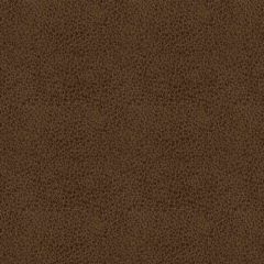 ABBEYSHEA Claro 8009 Amber Indoor Upholstery Fabric