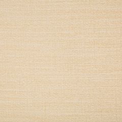 Kravet Basics  9789-116  Drapery Fabric