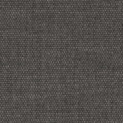 Perennials Rough 'n Rowdy Grey Hills 955-317 Beyond the Bend Collection Upholstery Fabric