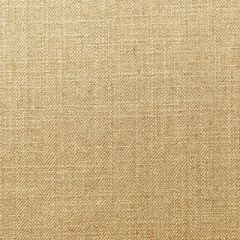 Clarke and Clarke Henley Straw F0648-36 Upholstery Fabric