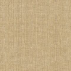 Kravet Basics Beige 4118-16 Drapery Fabric