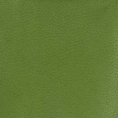Kravet Design Green Genslar 333 Indoor Upholstery Fabric