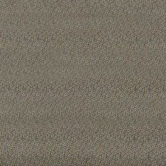 Baker Lifestyle Salsa Two Spot Silver PF50424-925 Carnival Collection Indoor Upholstery Fabric