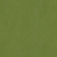 ABBEYSHEA Premier 205 Sprig Indoor Upholstery Fabric