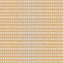 Kravet Tie the Knot White Gold 3576-404 Modern Luxe Collection Drapery Fabric