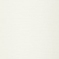Robert Allen Peyton White 243311 Drapeable Tonal Textures Collection Multipurpose Fabric