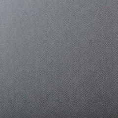 Kravet Tonalita Grey LZW-30187-21574 Lizzo Collection Wall Covering