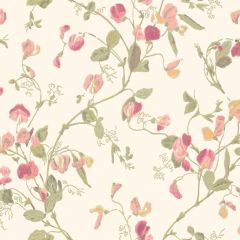 Cole and Son Sweet Pea Pink 100-6028 Archive Anthology Collection Wall Covering