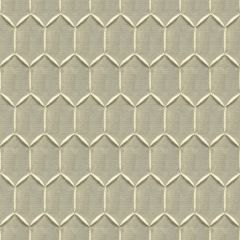 Kravet Couture Capture Luxury Moonstruck 3970-11 Modern Luxe Collection Drapery Fabric
