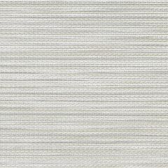 Phifertex Kozo Abalone 0JX 54-Inch Cane Wicker Collection Sling Upholstery Fabric