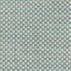 Phifertex Interlock Calypso DCW 54-Inch Cane Wicker Collection Sling Upholstery Fabric