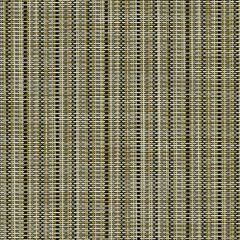 Phifertex Sarasa Sands NBD 54-Inch Cane Wicker Collection Sling Upholstery Fabric