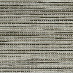 Phifertex Kozo Fossil ZBY 54-Inch Cane Wicker Collection Sling Upholstery Fabric