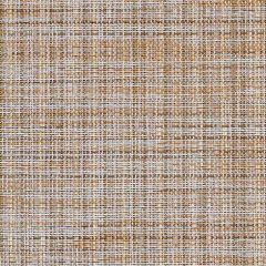 Phifertex Charm Tango KDV 54-Inch Cane Wicker Collection Sling Upholstery Fabric