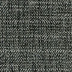 Phifertex Jewel Flint ZHX 54-inch Sling Upholstery Fabric