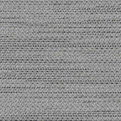 Phifertex Ventura Alloy ZHY 54-inch Sling Upholstery Fabric