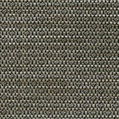 Phifertex Napa Fern DDW 54-inch Cane Wicker Collection Sling Upholstery Fabric