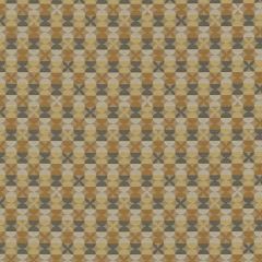 Mayer Tango Camel 460-007 Good Vibes Collection Indoor Upholstery Fabric